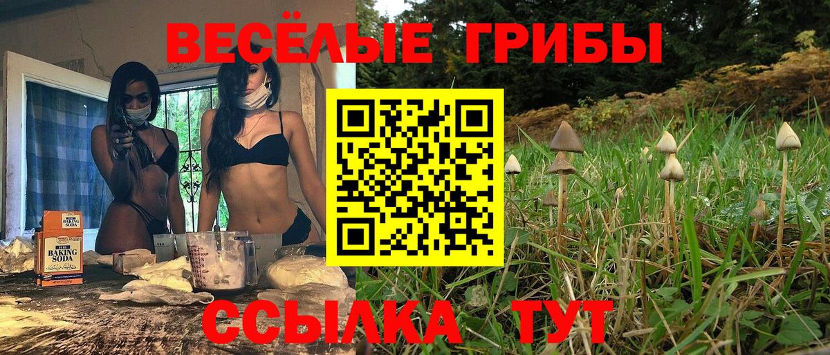 Псилоцибиновые грибы прущие грибы  Вход с VPN  Анапа  Галлюциногенные грибы MAGIC MUSHROOMS 
